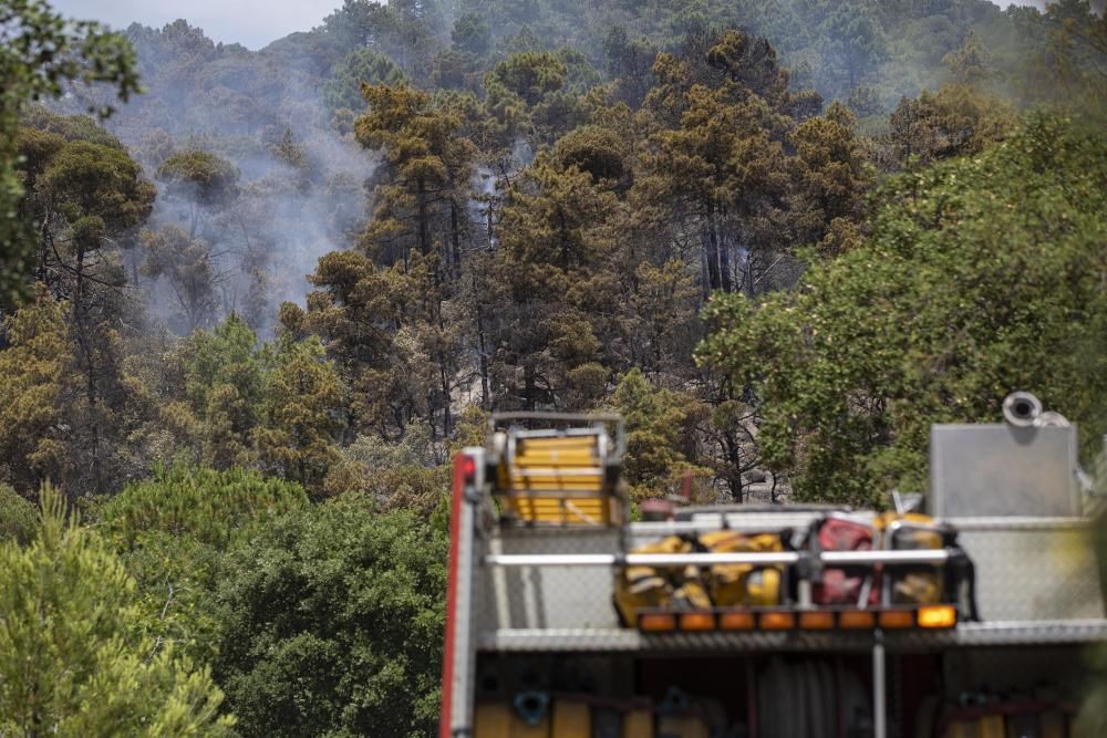 Incendi forestal en una urbanització de Lloret
