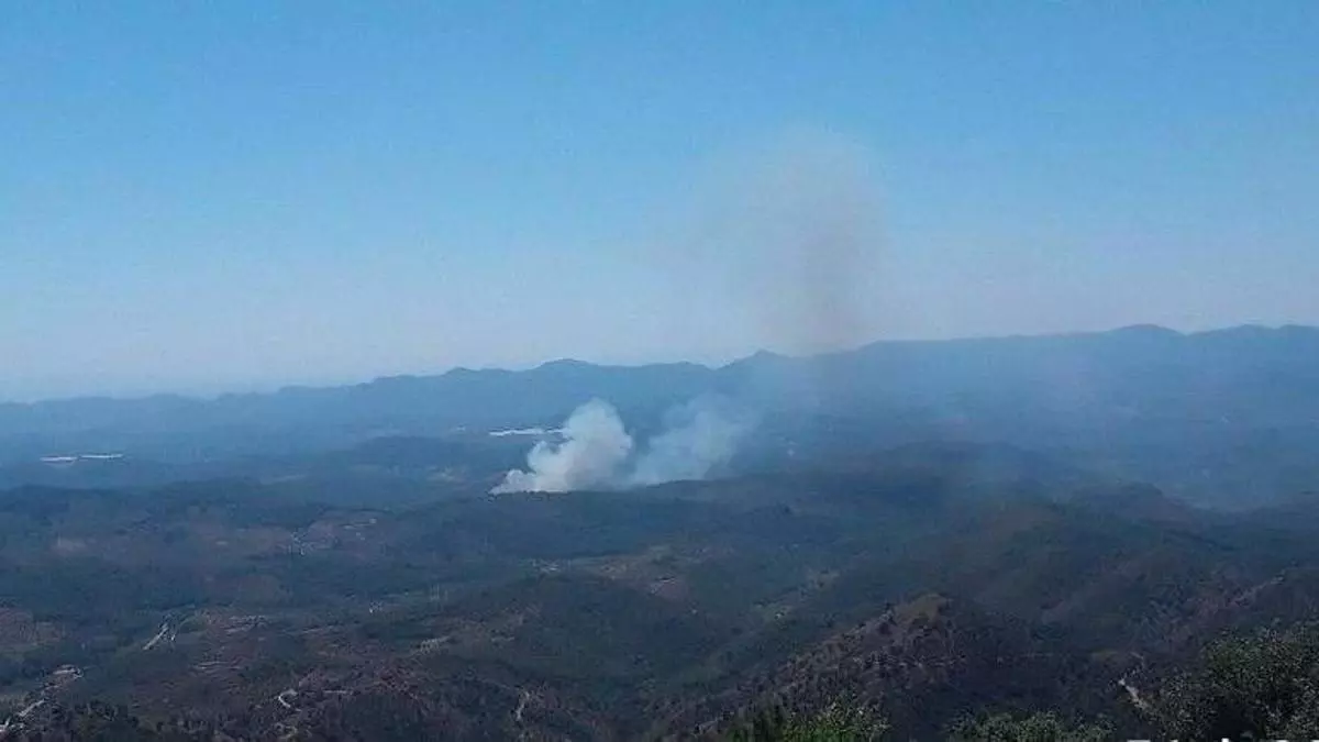Declarado un incendio forestal en Azuébar: movilizados medios aéreos y un amplio dispositivo terrestre