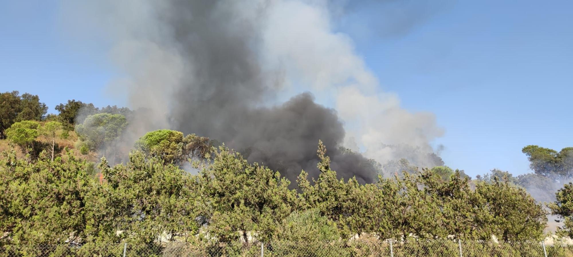 Incendi de vegetació a l'AP-7 a la Jonquera