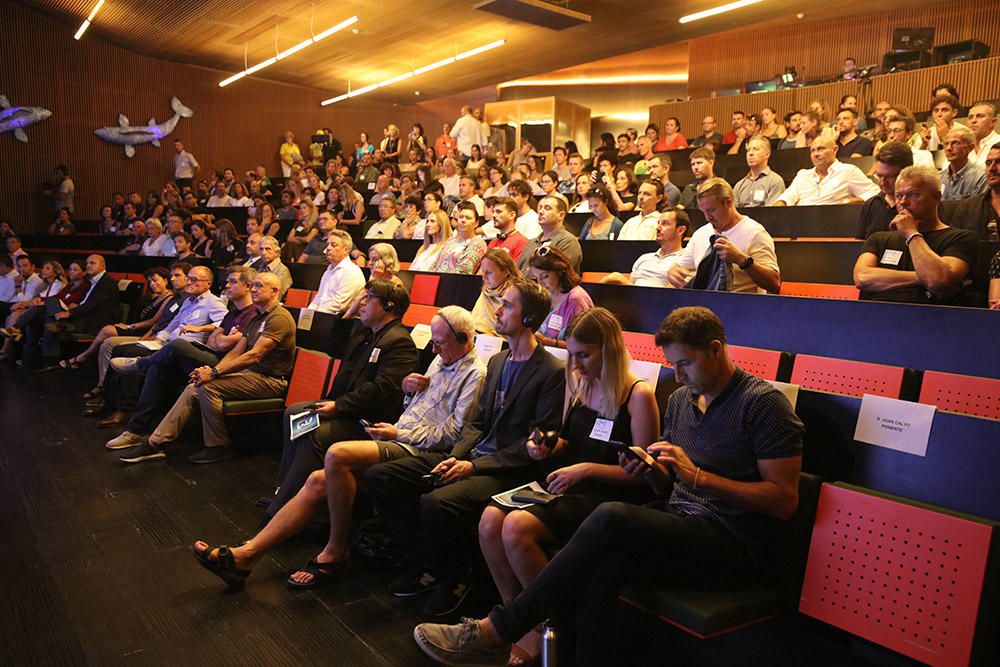 Foro Marino de Ibiza y Formentera