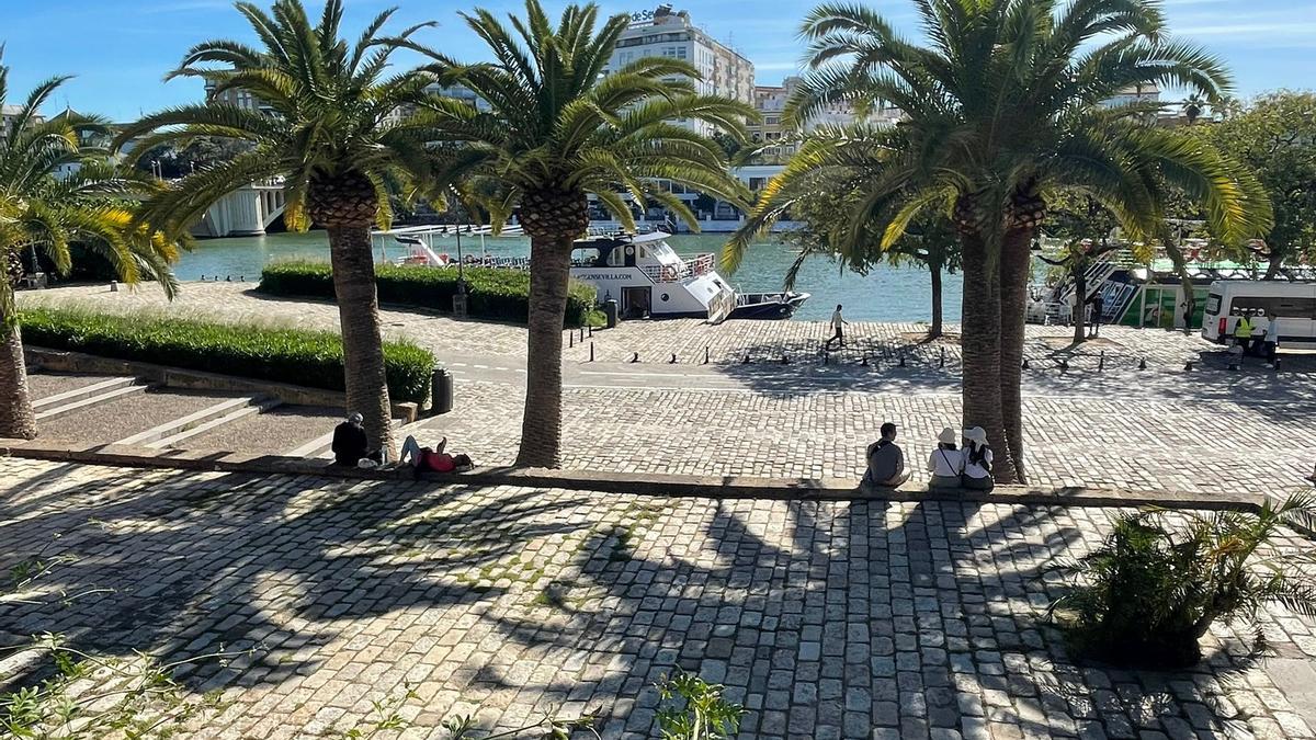 Algunos turistas aprovechan la sombra de las palmeras a la orilla del río