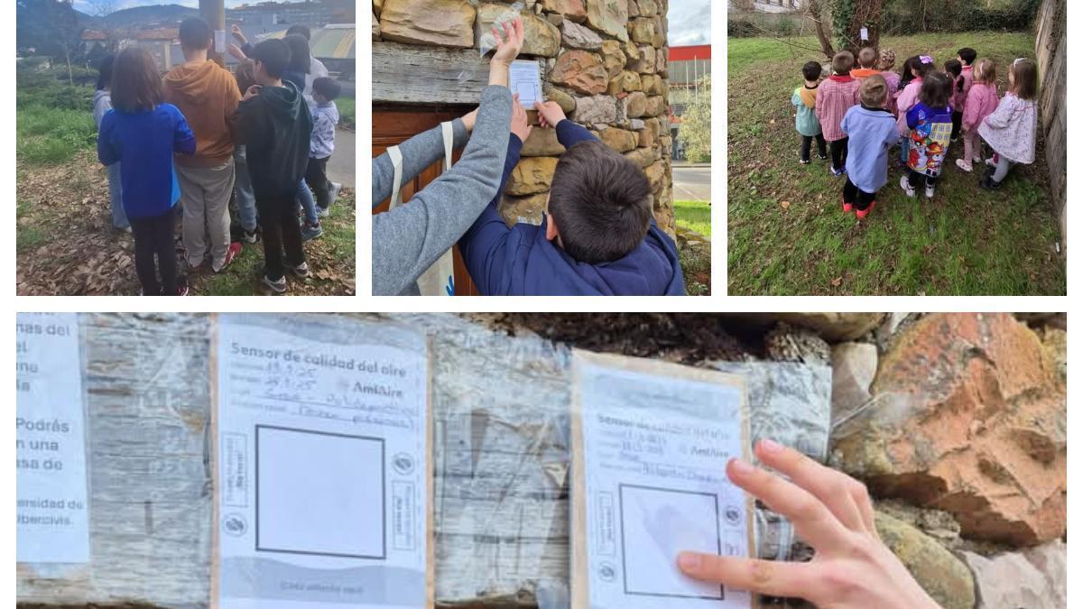 Varios momentos de las actividades que los escolares desarrollaron en el marco del proyecto.