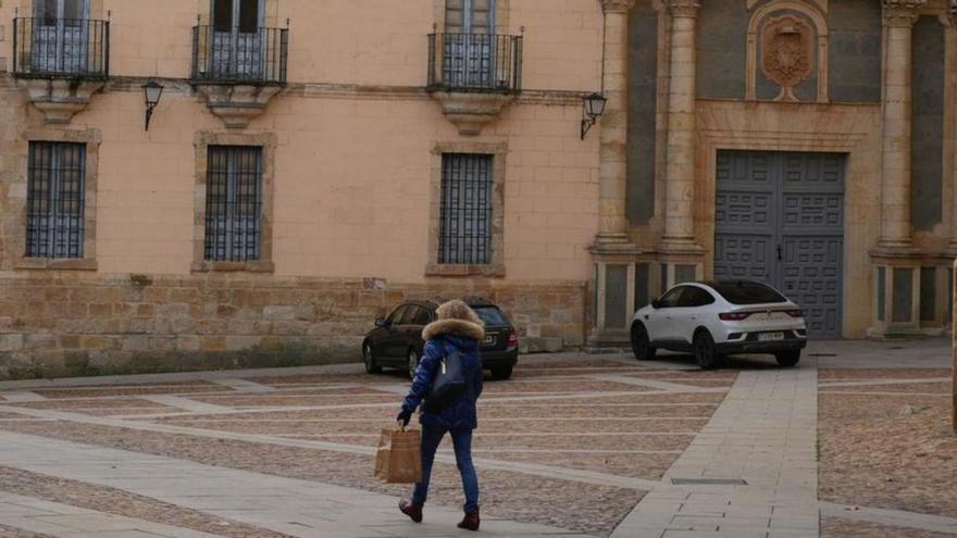 El Palacio Episcopal de Zamora se somete a un remozado de sus cubiertas