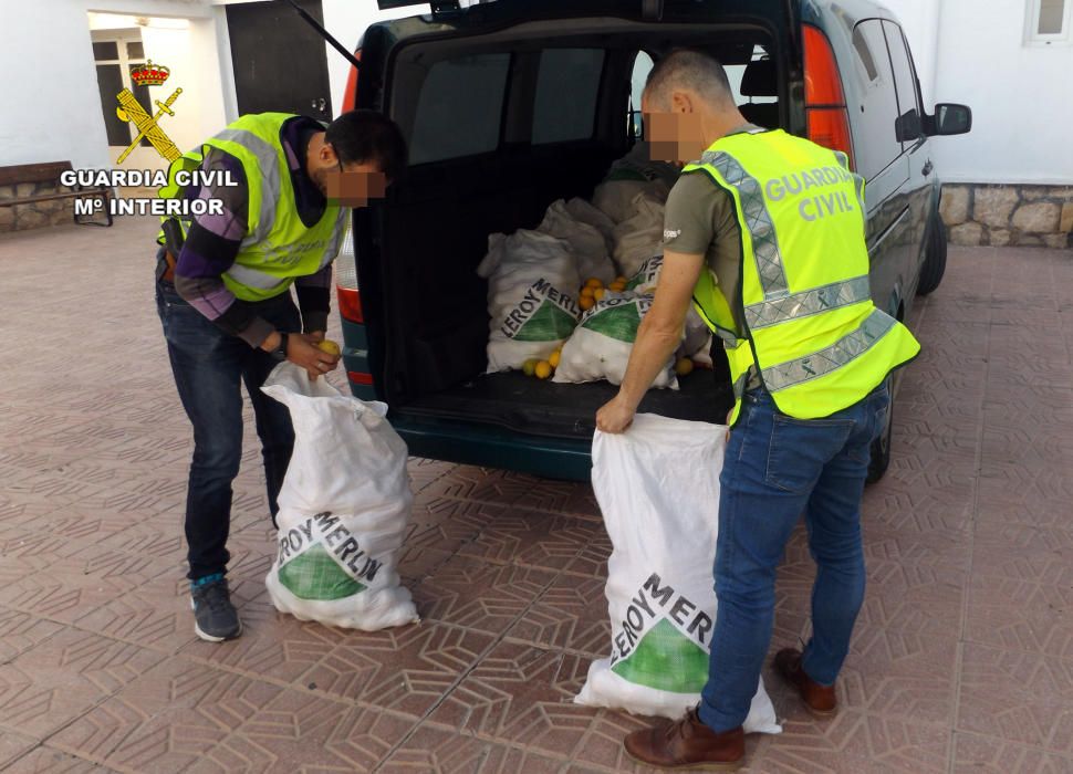 Diez detenidos por robar limones en Murcia y Cox