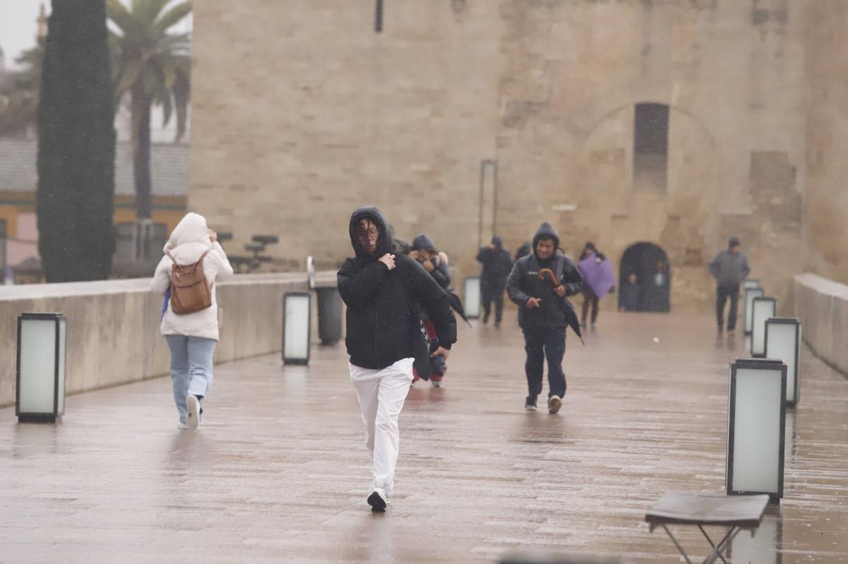 Varias personas caminan bajo la fuerte lluvia y rachas de viento por el Puente Romano de Córdoba, hoy miércoles.