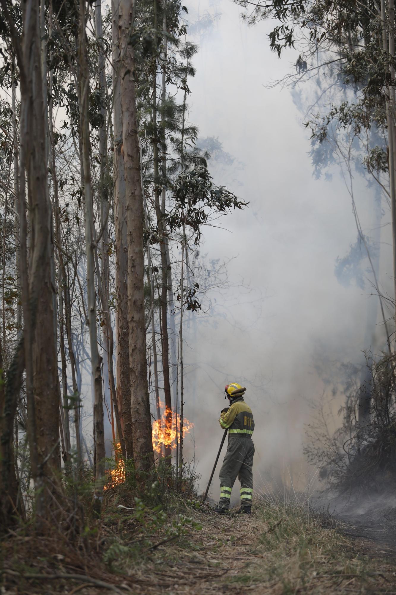 Incendios en la zona de La Venta, Valdés