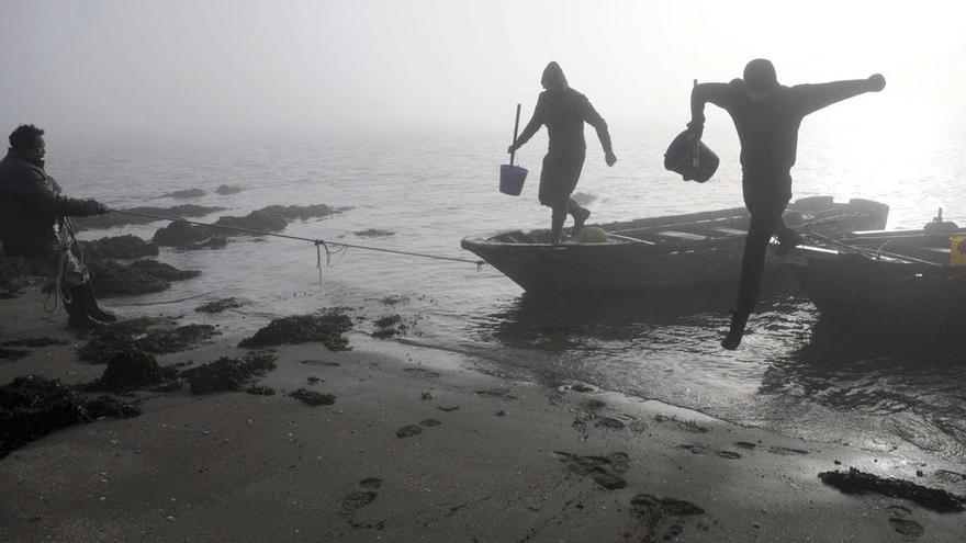 Mariscadores furtivos en la Ría de Arousa. // Noe Parga