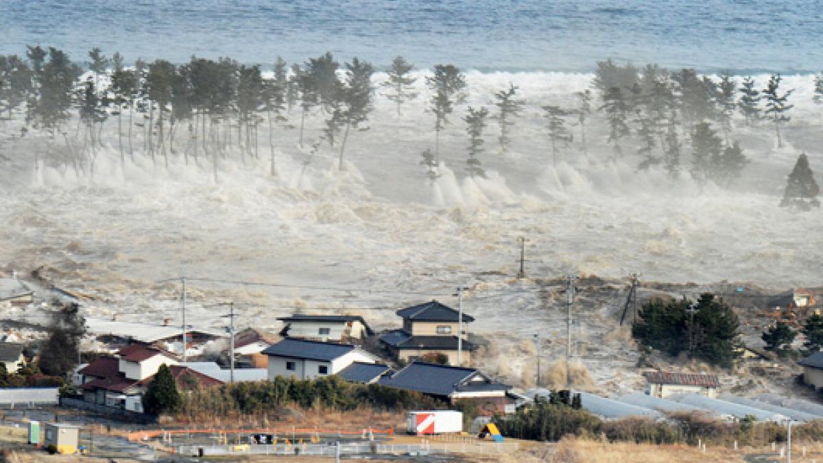 Entre las predicciones de Baba Vanga para 2024 se encuentra un gran y devastador tsunami.
