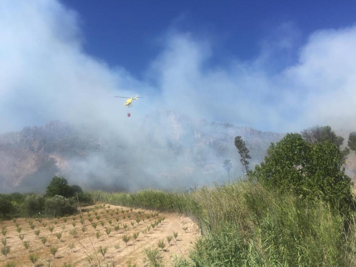 Un incendio forestal en el Menjú de Cieza rodea un Un incendio forestal en el Menjú de Cieza rodea un