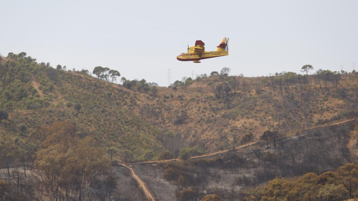 Un incendio en Sierra Bermeja provoca el desalojo de un millar personas en Estepona, Jubrique y Genalguacil