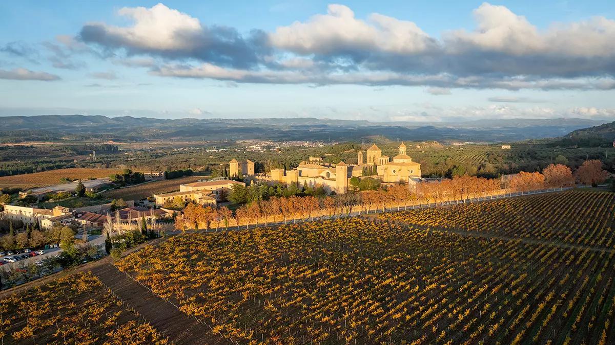 El monasterio de Poblet rodeado de viñedos, uno de los paisajes históricos del interior de Cataluña.