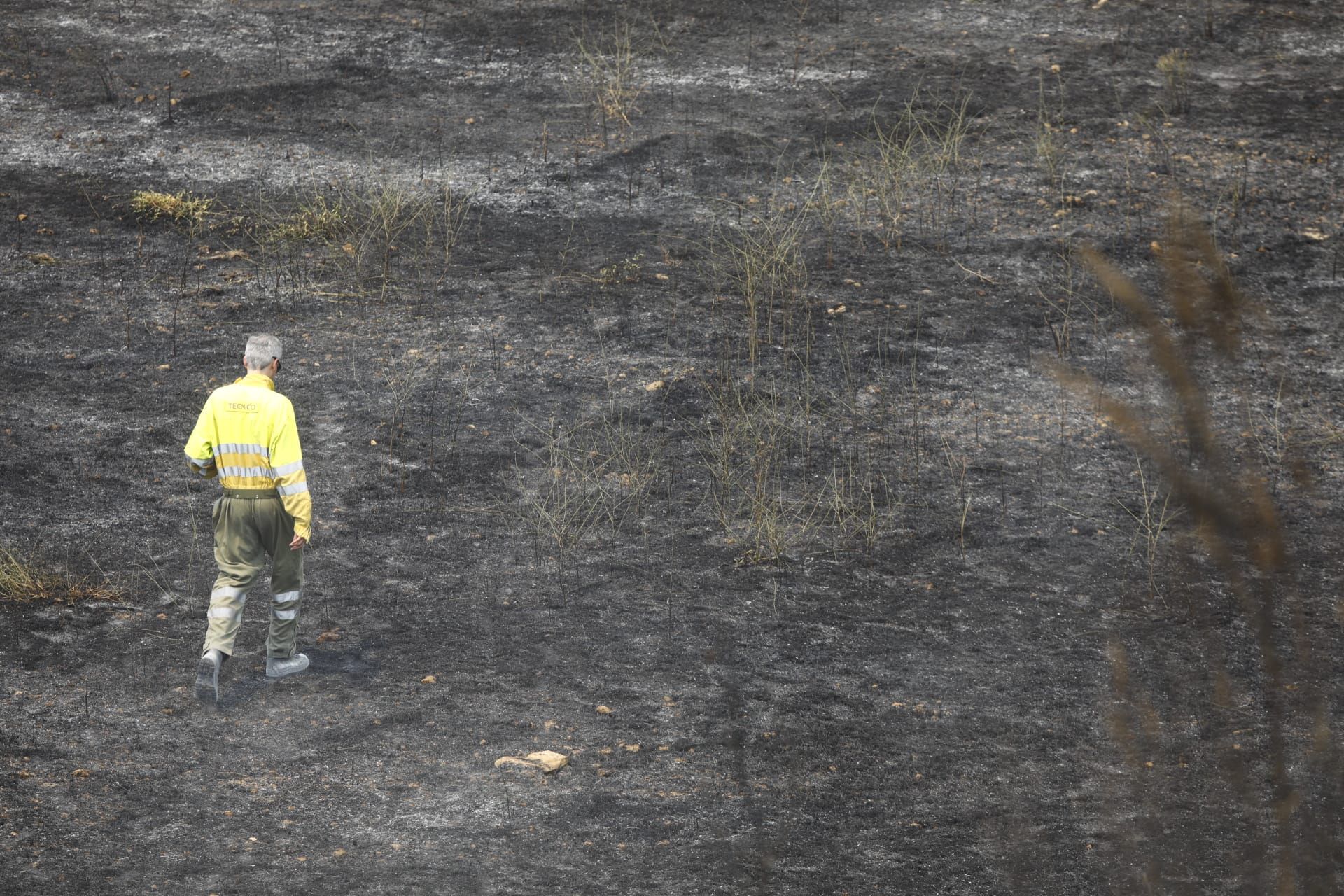 FOTOGALERÍA | El incendio forestal en Nonaspe, en imágenes