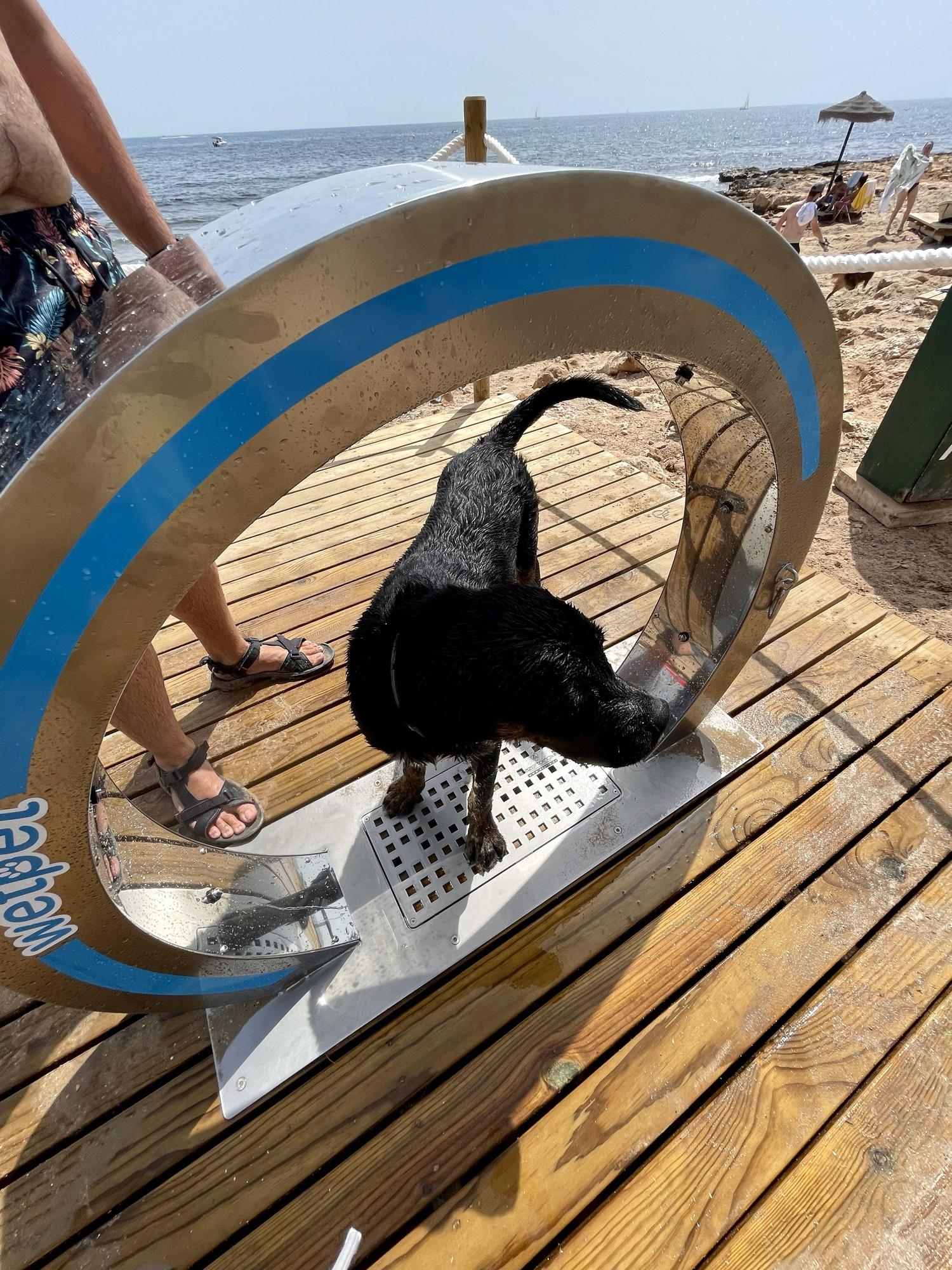 Ducha que ha tenido que retirarse de la playa canina