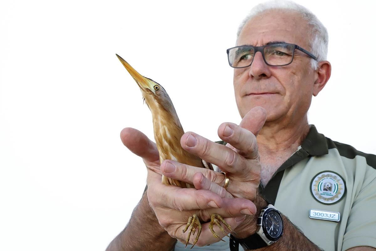 El Centro de recuperación de especies amenazadas de Córdoba, en imágenes