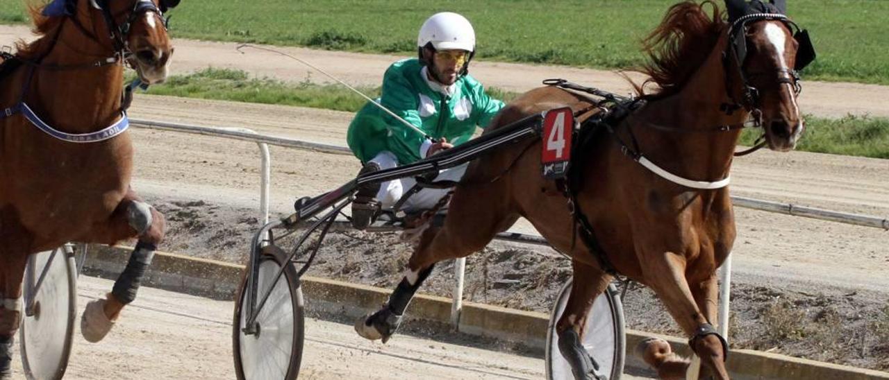 La francesa Uka de Clerlande (4), con Aitor Vázquez, en su última victoria en Manacor.