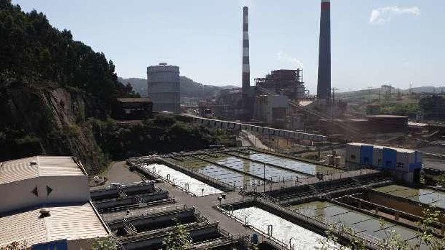 En primer término, instalaciones de La Reguerona.