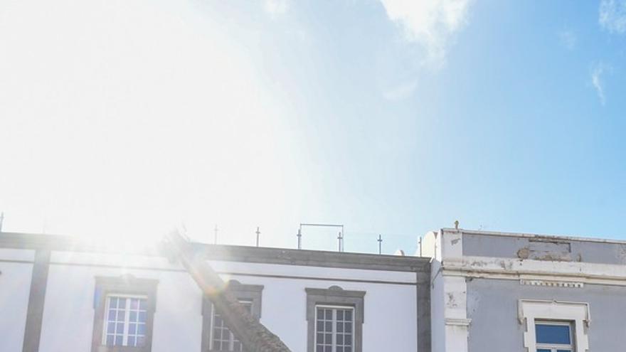 Una palmera se estrella contra un edificio en la Alameda de Colón