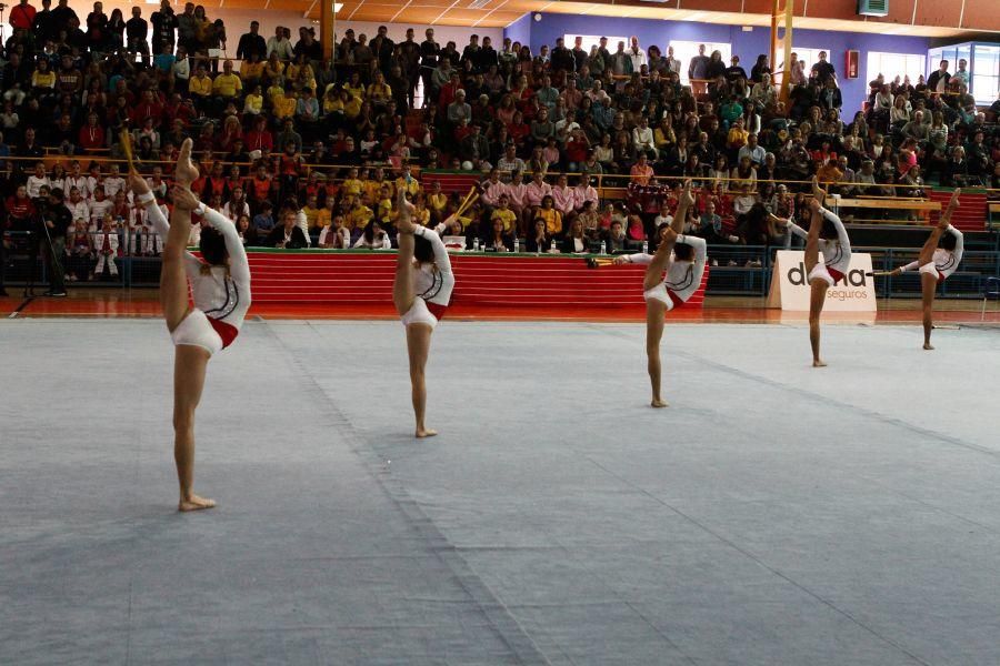 Campeonato de Castilla y León de gimnasia rítmica