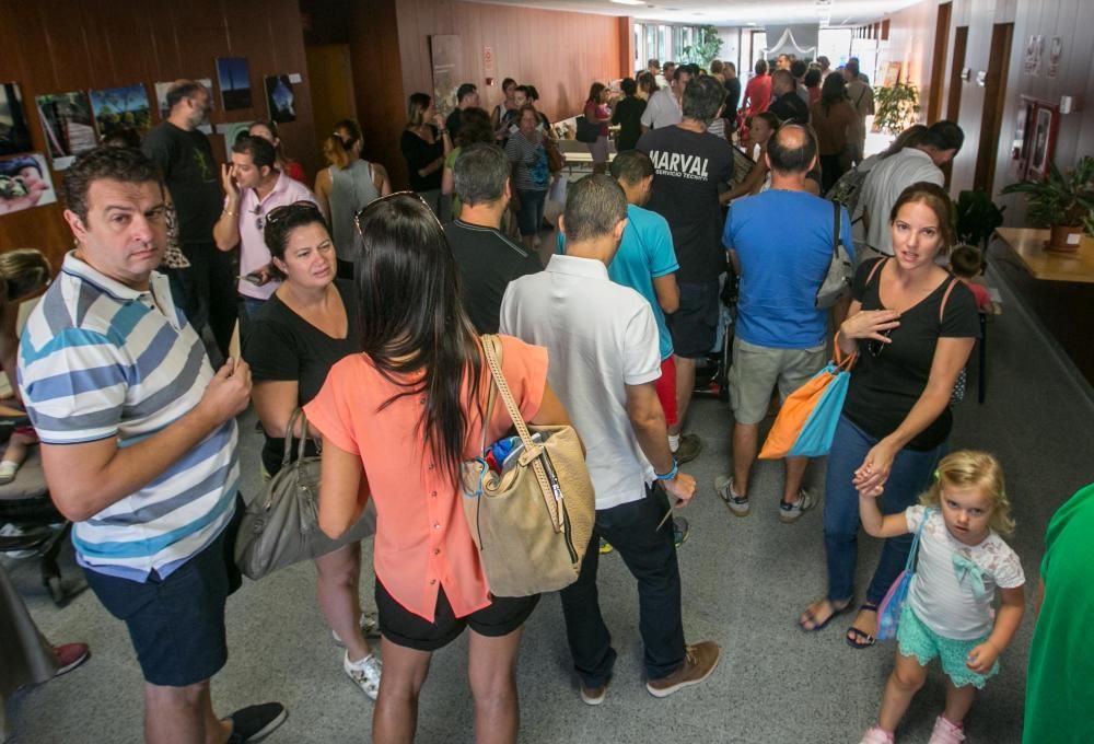 Votaciones de la jornada continua en Elche