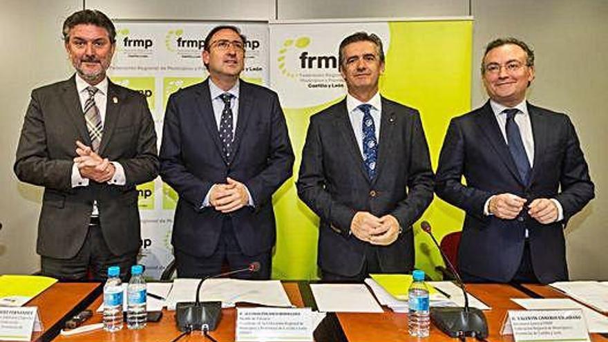 Comisión ejecutiva del Consejo Regional de la FRMP .