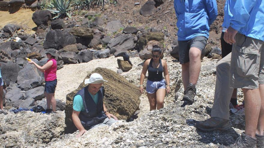 Científicos visitan el yacimiento Pedra-que-Pica en las Azores.