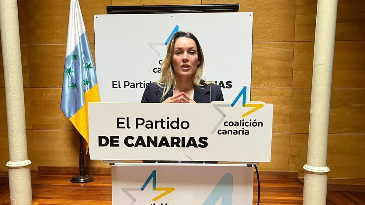 María Fernández, diputada de CC en el Congreso