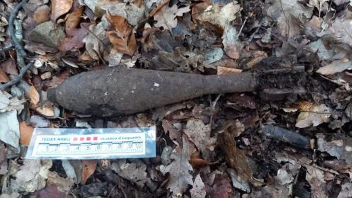 De buscar setas a encontrar un objeto de la Guerra Civil: este fue el hallazgo de un explorador en un bosque de Girona
