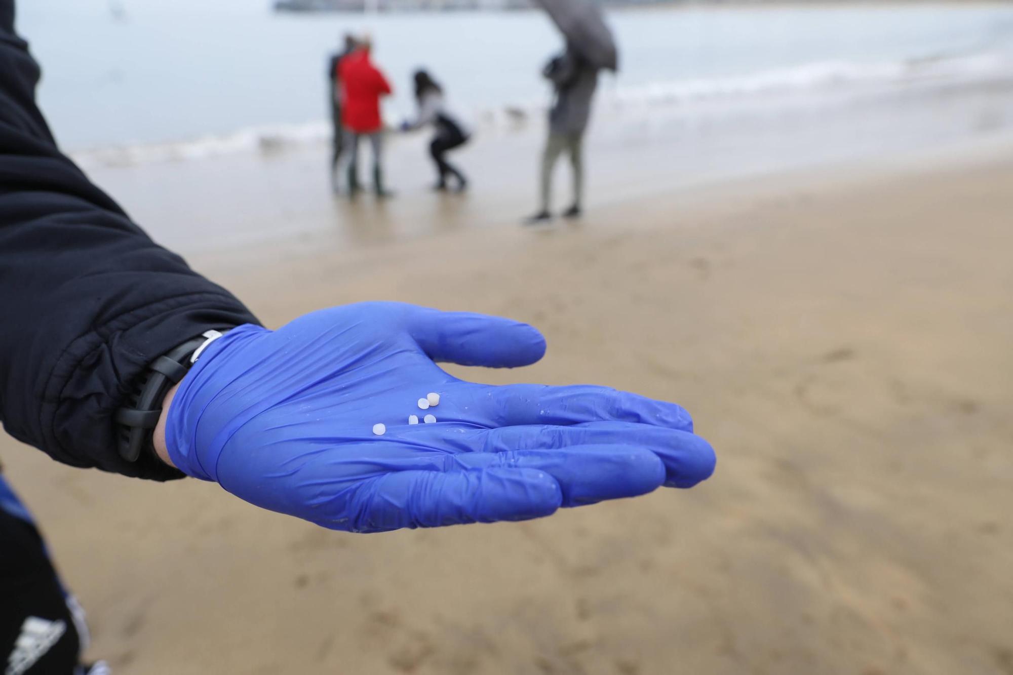 Estudiantes del IES Nº 1 controlan la calidad ambiental de las playas de la mano del Oceanográfico (en imágenes)