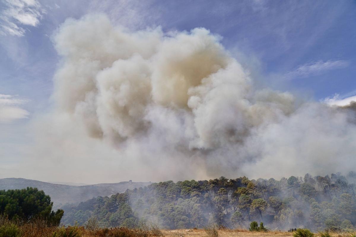 Incendio forestal declarado en Igualeja, en imágenes