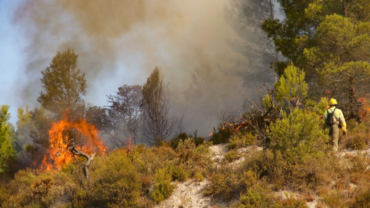 Continúan las labores de extinción del incendio en la Vall d'Ebo