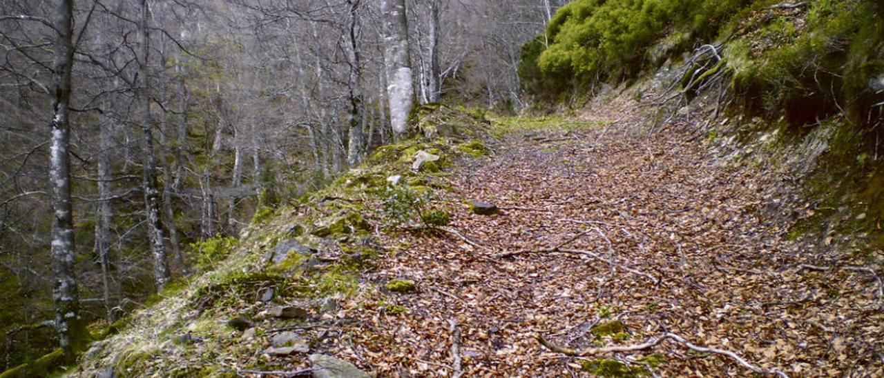 La pista de acceso hasta la mina Julita, la iniciativa proyectada para el concejo de Lena.