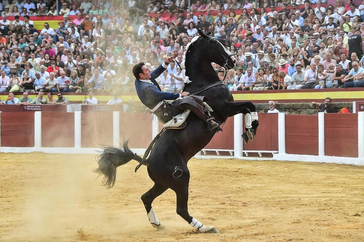 Fotogalería | Las imágenes de la corrida de rejones de la feria de Plasencia Fotogalería | Las imágenes de la corrida de rejones de la feria de Plasencia