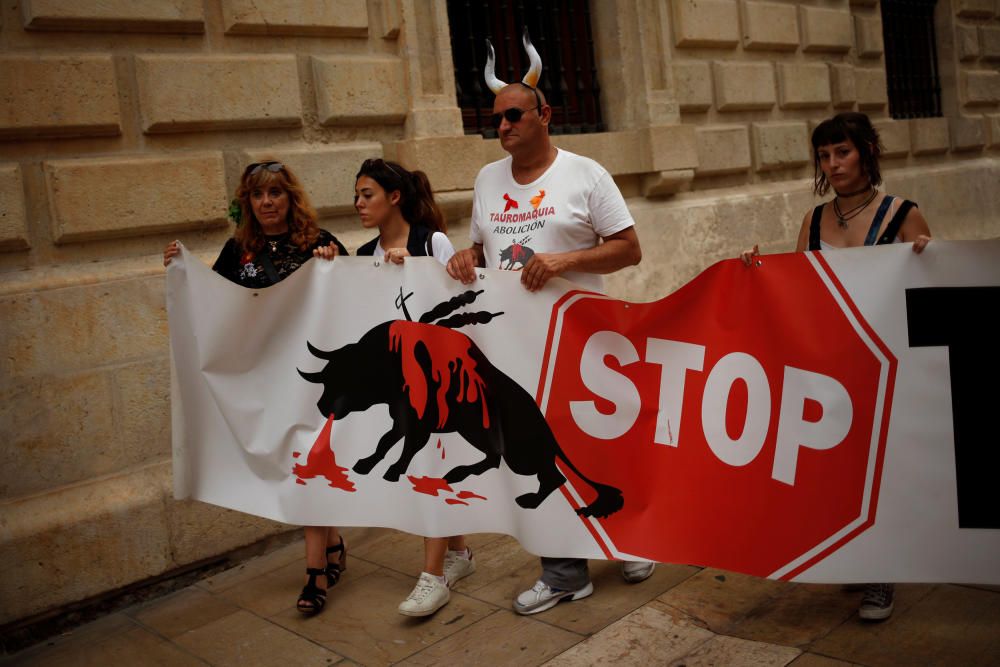 Manifestación antitaurina en Málaga