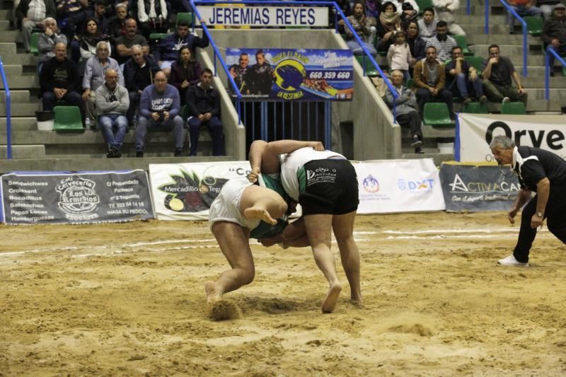 Final de la Liga Cabildo de Segunda categoría de Lucha Canaria  | 14/02/2020 | Fotógrafo: Delia Padrón