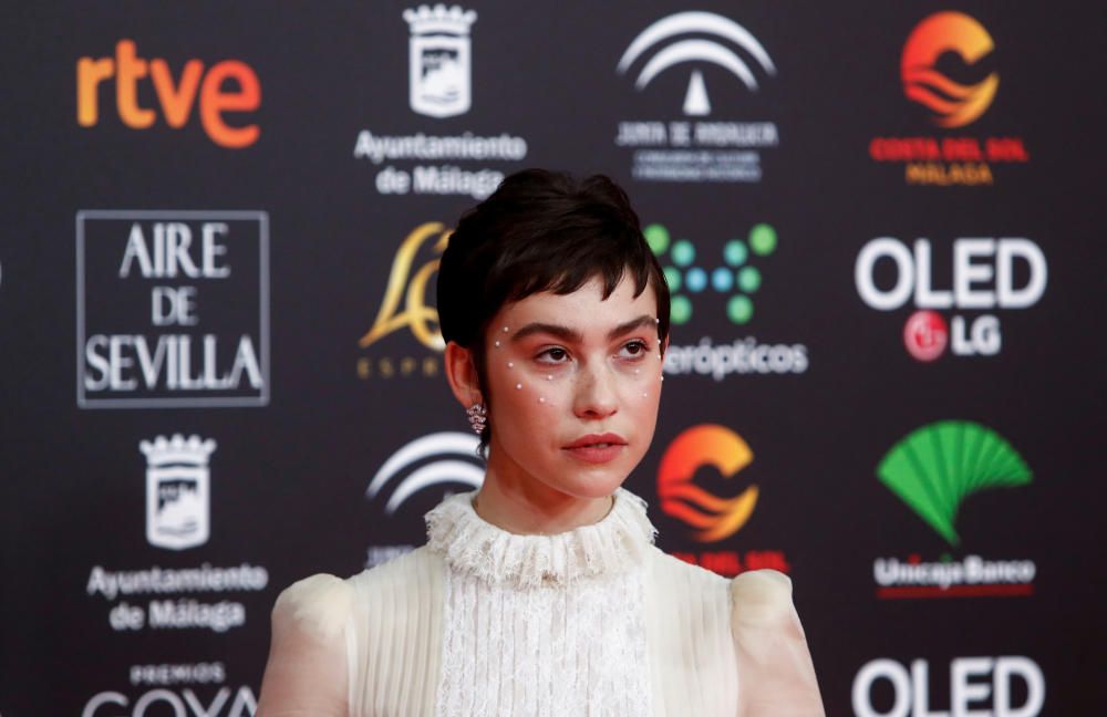 Les imatges de la catifa vermella dels premi Goya 2020
