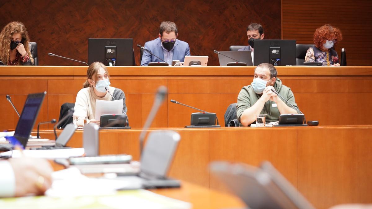 Dos representantes del comité de IDL durante su comparecencia en las Cortes de Aragón.