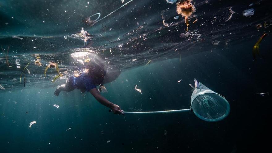 Voluntarios recogen 17,5 kilos de residuos en la costa de Portals