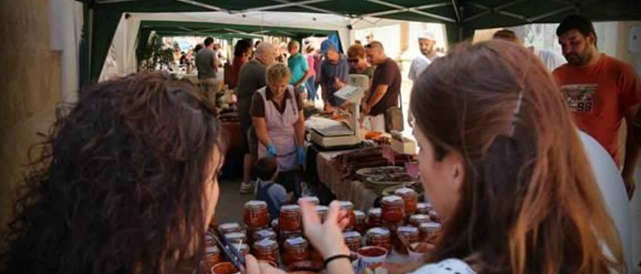 Imagen del Mercat de la Terra en Xaló que se lleva a cabo cada primer sábado de mes