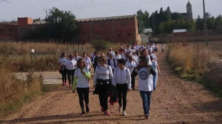 Vezdemarbán se vuelca con la lucha contra el cáncer de mama con una marcha solidaria