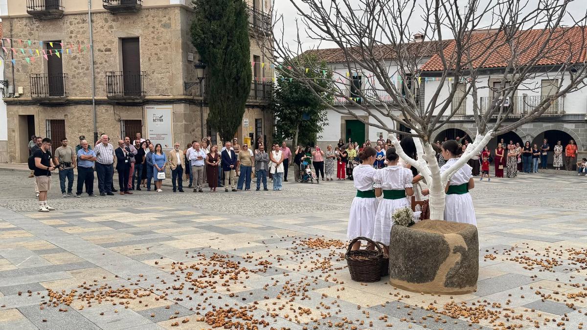 Espectáctulo Memoria, Raíces y Futuro. Bajo la Higuera, homenaje al producto local, en la pasada edición.
