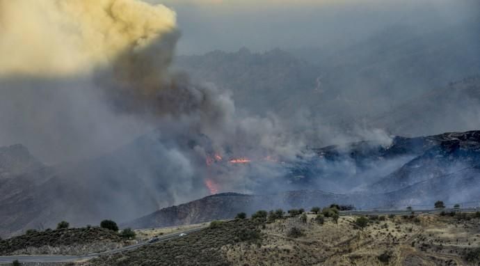 TEJEDA. Incendio en La Cumbre, zona entre Tejeda y  carretera a Artenara  | 11/08/2019 | Fotógrafo: José Pérez Curbelo