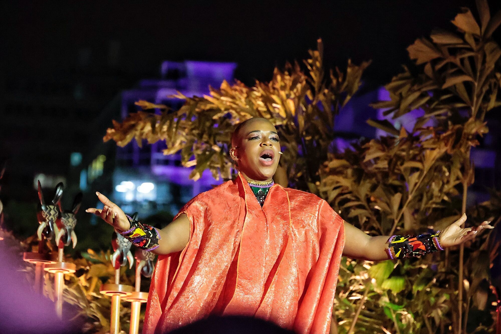 Inauguración del Carnaval de Santa Cruz de Tenerife 2025