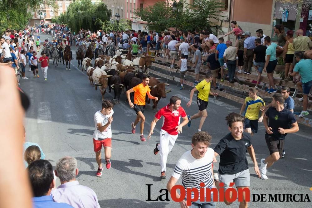 Séptimo encierro en Moratalla