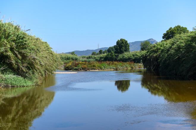 El ámbito metropolitano del río Llobregat recibe dos millones de visitas anuales