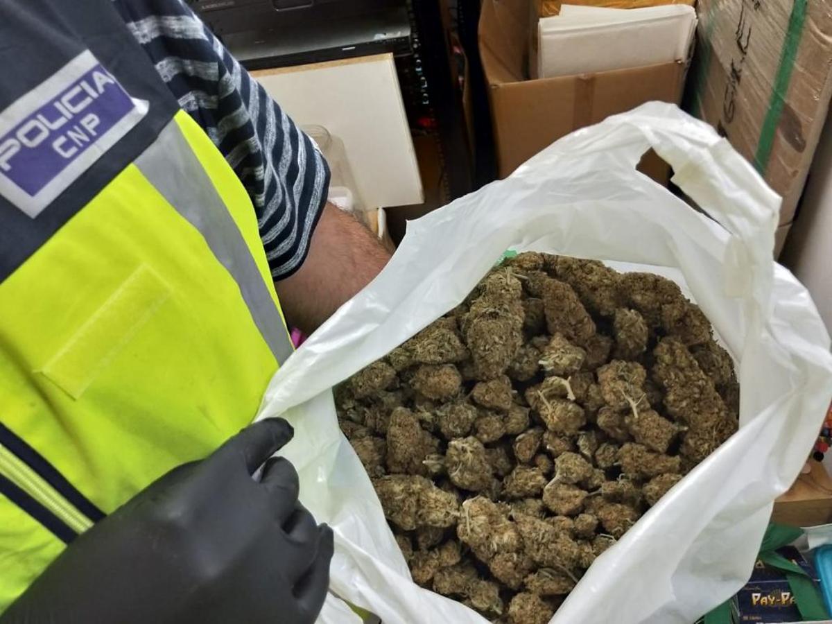 La Policía Nacional clausura el club cannábico de Benalúa y detiene a seis personas