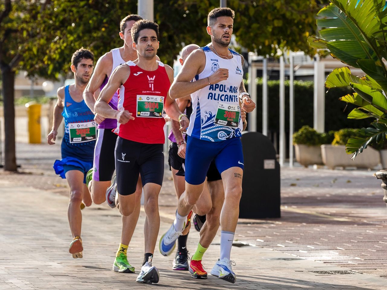 Mitja Marató Gandia: Las fotos de la carrera