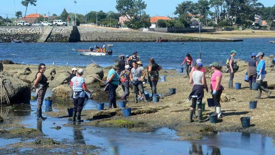 Las mariscadoras aglutinan la mitad del censo de la cofradía de Vilaxoán. // Noé Parga