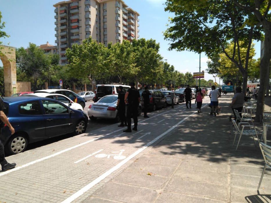 Dos heridos y dos detenidos en una batalla campal en Palma