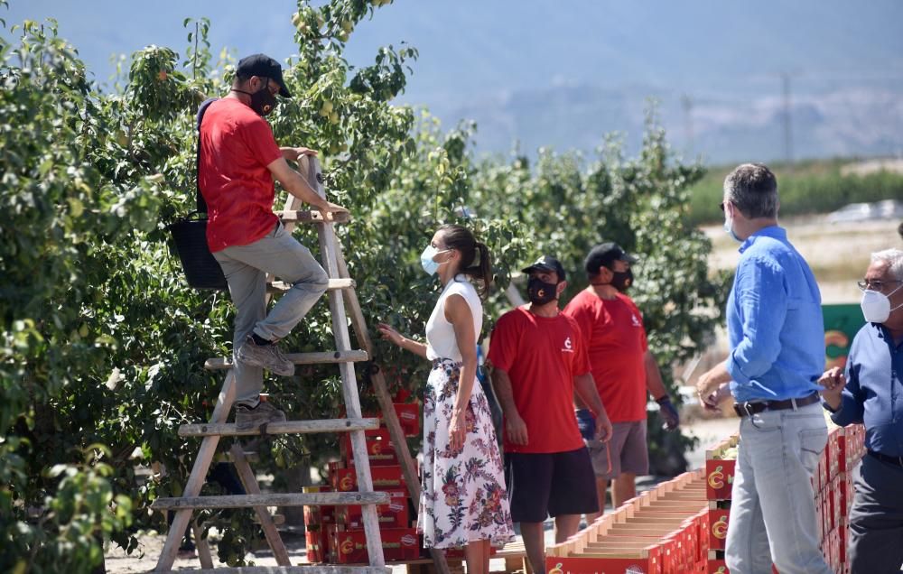 Visita de los reyes a la cooperativa La Carrichosa de Cieza