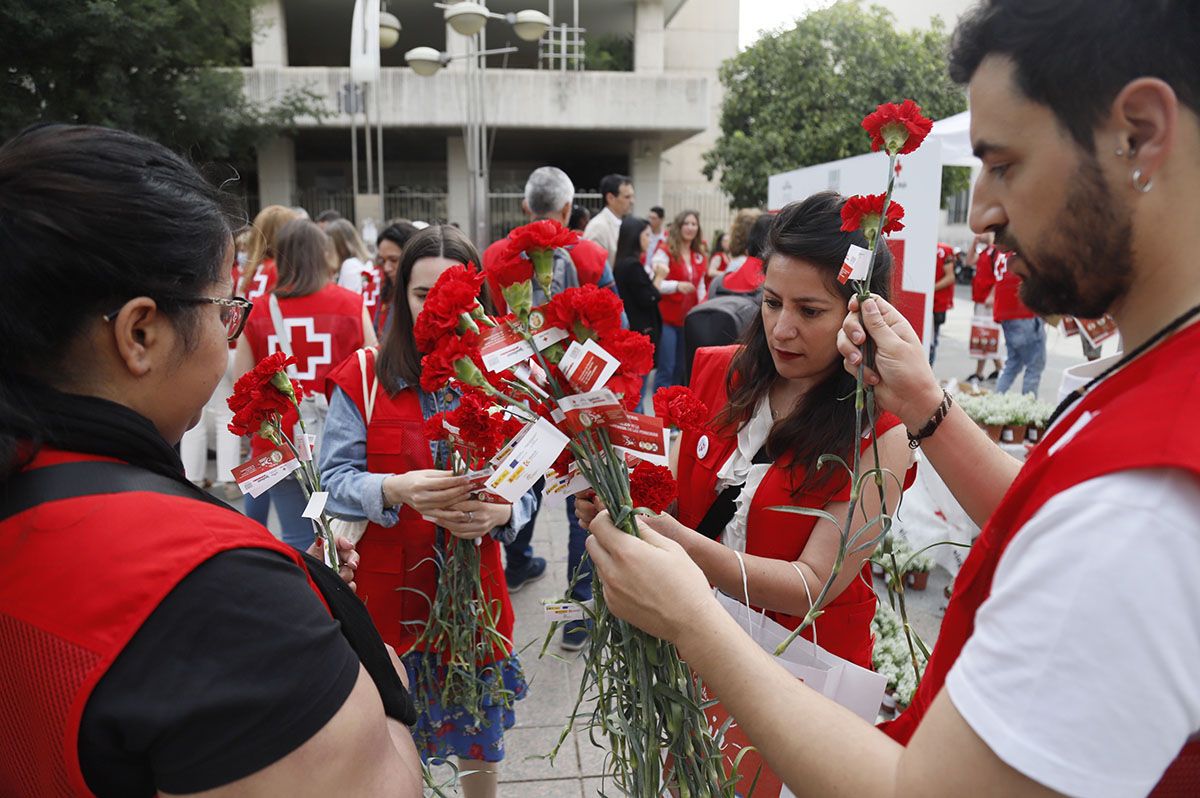 Campaña de Cruz Roja en Córdoba: Sin género de dudas